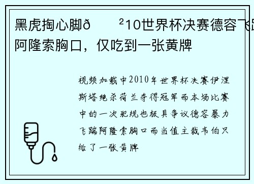 黑虎掏心脚😲10世界杯决赛德容飞踹阿隆索胸口，仅吃到一张黄牌